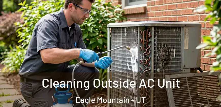 Cleaning Outside AC Unit Eagle Mountain - UT